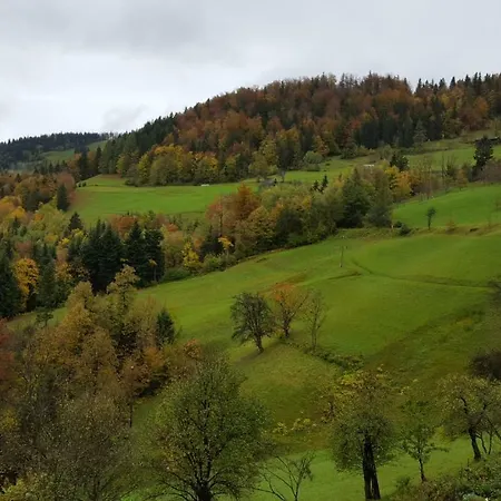Eco-house Zivljenje Na Visokem Frühstückspension Miklavz pri Taboru