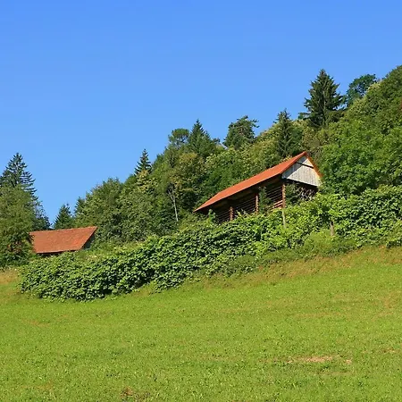 Eco-house Zivljenje Na Visokem Bed & Breakfast Miklavz pri Taboru