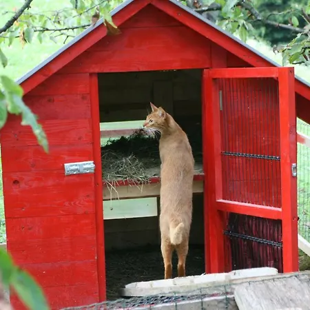 Eco-house Zivljenje Na Visokem *