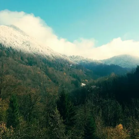Frühstückspension Eco-house Zivljenje Na Visokem *