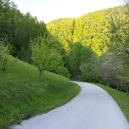 Frühstückspension Eco-house Zivljenje Na Visokem Miklavz pri Taboru