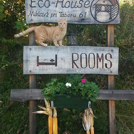 Eco-house Zivljenje Na Visokem Bed & Breakfast Miklavz pri Taboru